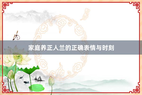 家庭养正人兰的正确表情与时刻