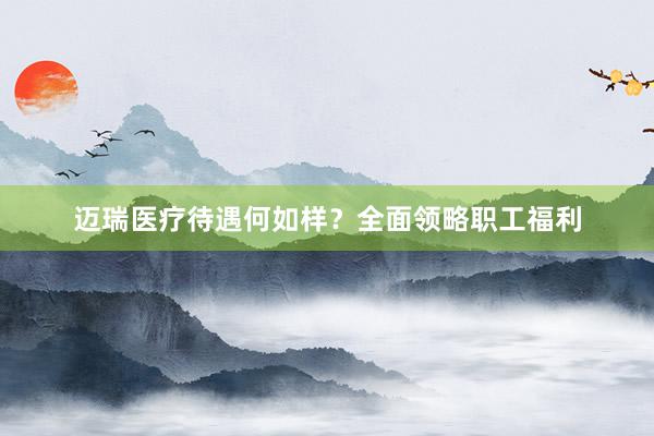 迈瑞医疗待遇何如样？全面领略职工福利
