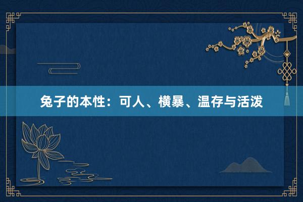 兔子的本性：可人、横暴、温存与活泼